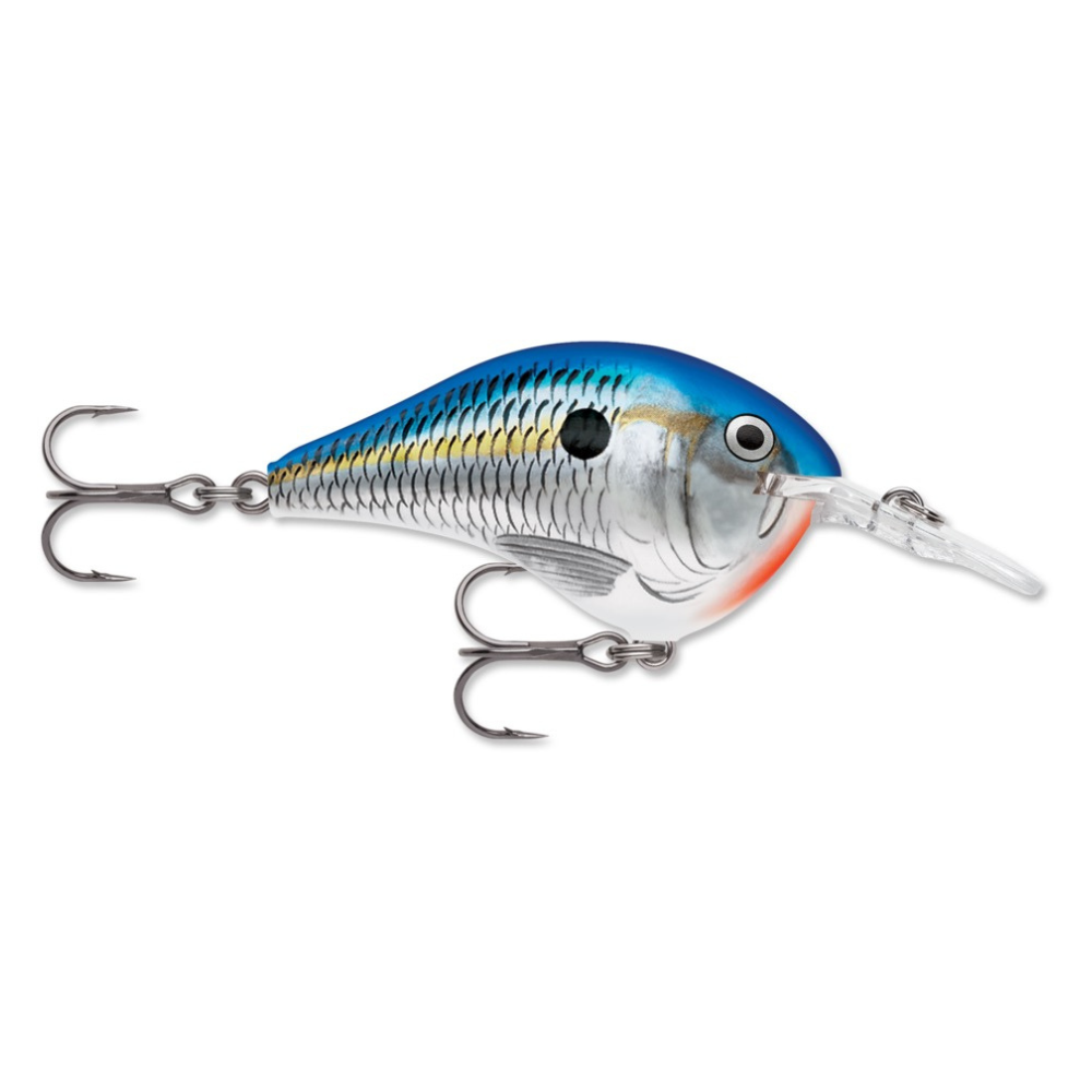 Rapala DT-6 Blue Shad Dives-To Series