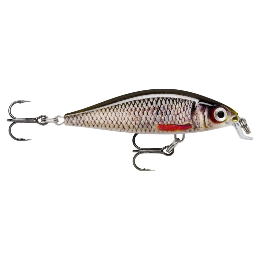 Rapala X-Light Minnow Live Roach