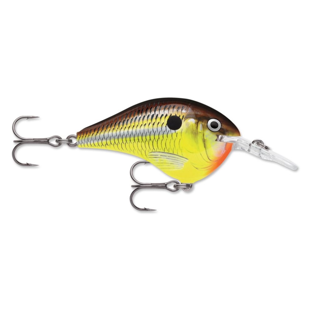 Rapala DT-6 Hot Mustard Dives-To Series
